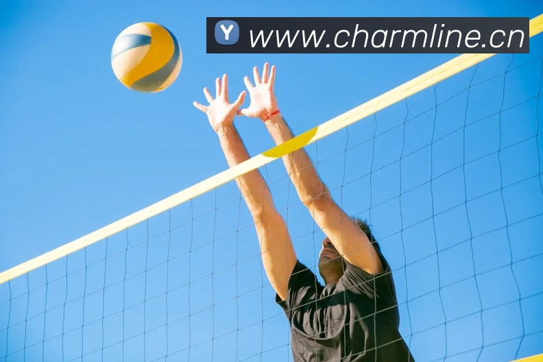 开云官方登录APP 高清赛事图